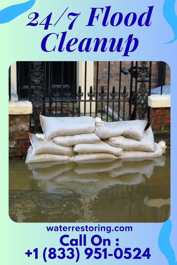 24/7 Flood Cleanup in Wadsworth, IL