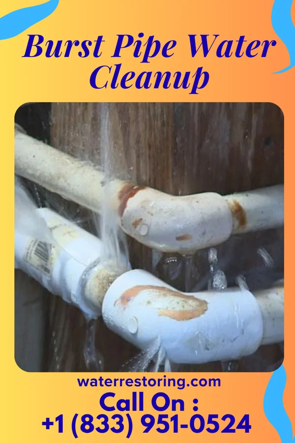 Burst Pipe Water Cleanup in Wadsworth, IL