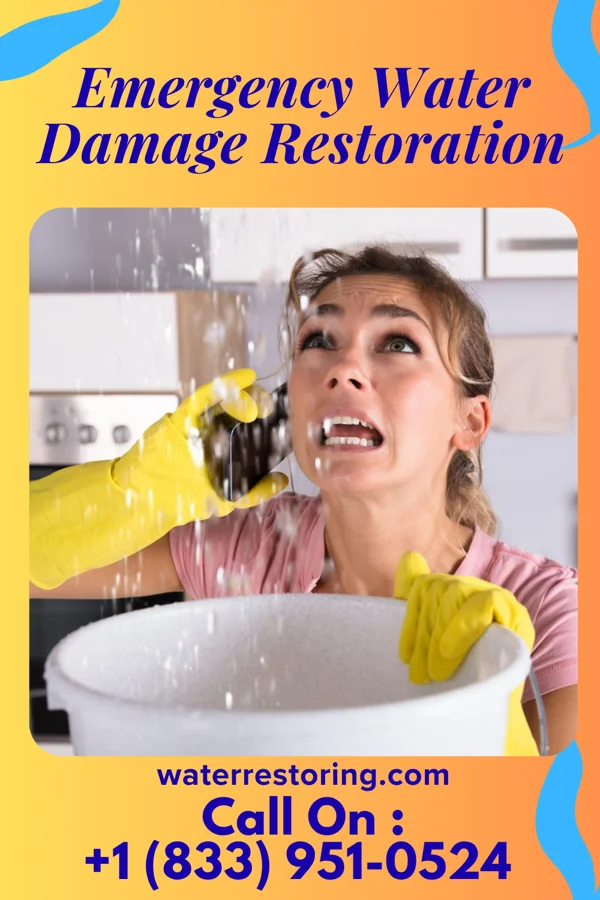 Emergency Water Damage Restoration in Wadsworth, IL