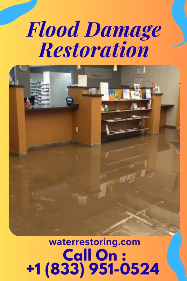 Flood Damage Restoration in Wadsworth, IL
